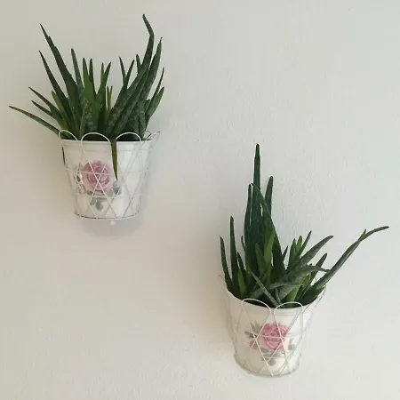 Nigler Apartment *