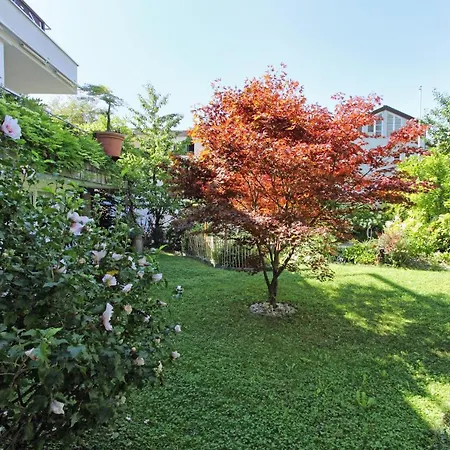 Nigler Apartment