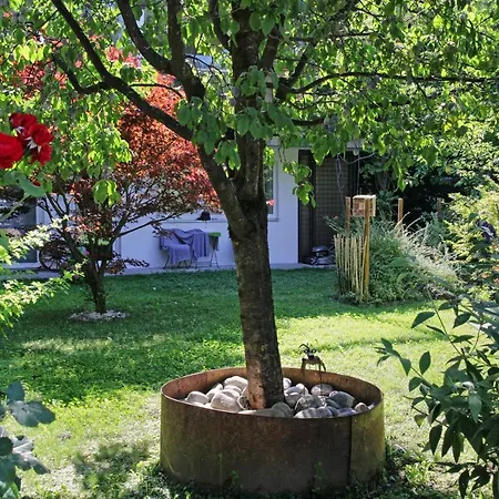 Nigler Інсбрук