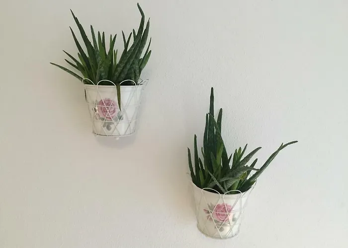 Nigler Апартаменти *