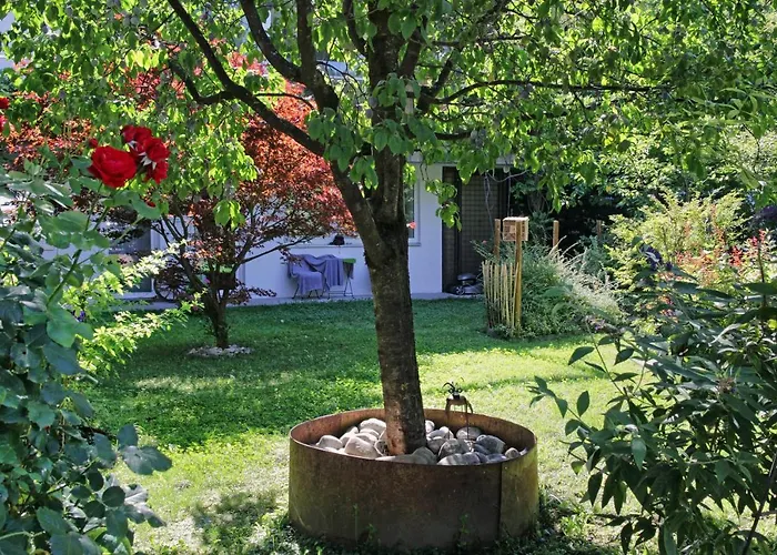 Nigler إنسبروك